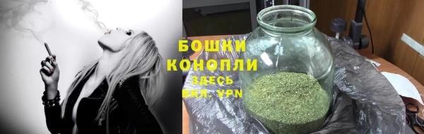 ГАЛЛЮЦИНОГЕННЫЕ ГРИБЫ Горнозаводск