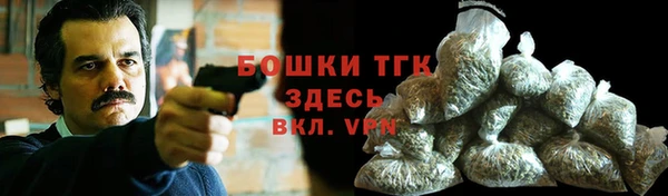 ГАЛЛЮЦИНОГЕННЫЕ ГРИБЫ Горнозаводск