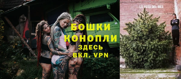 ГАЛЛЮЦИНОГЕННЫЕ ГРИБЫ Горнозаводск