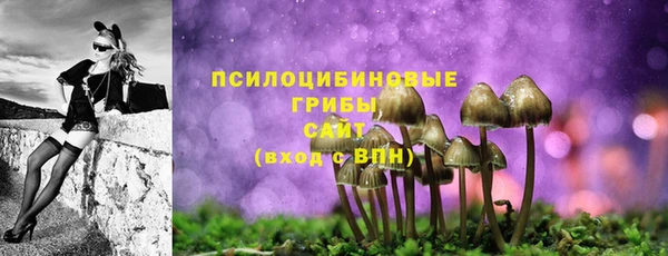 ГАЛЛЮЦИНОГЕННЫЕ ГРИБЫ Елизово