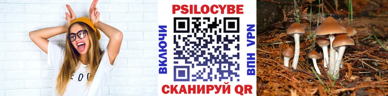 Псилоцибиновые грибы прущие грибы Купить где Красновишерск